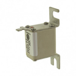 FUSE 80A 690V 00TN/80 GR...