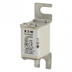 FUSE 125A 690V 00TN/80 AR...