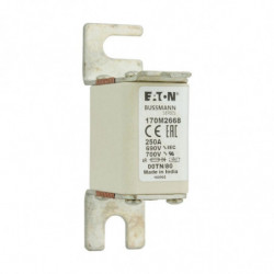 FUSE 250A 690V 00TN/80 AR...
