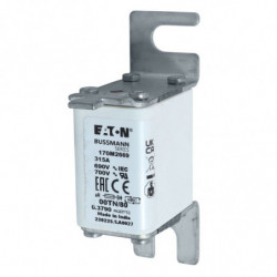 FUSE 315A 690V 00TN/80 AR...