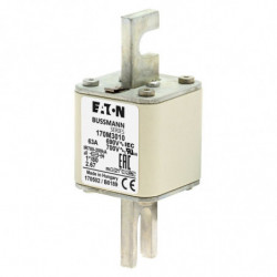 FUSE 50A 690V 1*/80 AR UC...