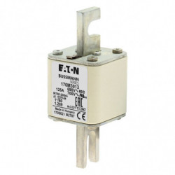 FUSE 125A 690V 1*/80 AR UC...