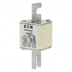 FUSE 100A 690V 1*TN/80 AR...