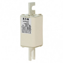 FUSE 80A 1250V 1*TN/110 AR...