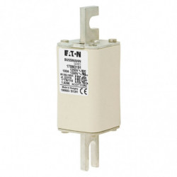 FUSE 100A 1250V 1*TN/110 AR...