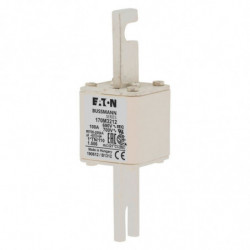 FUSE 100A 690V 1*TN/110 AR...