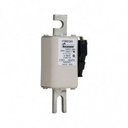 FUSE 100A 1250V 1*KN/110 AR...