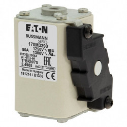 FUSE 80A 1250V 1*BKN/75 AR...