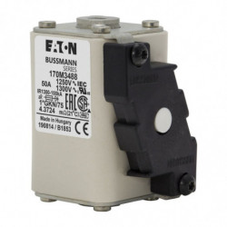 FUSE 50A 1250V 1*GKN/75 AR...