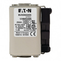 FUSE 250A 1250V 1*GKN/75 AR...