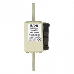 FUSE 100A 1000V 1*FKE/115...