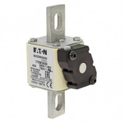 FUSE 40A 690V 1*FKE/78 AR...