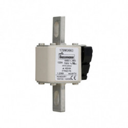 FUSE 125A 690V 1*FKE/78 AR...