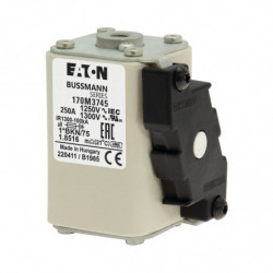 FUSE 250A 1250V 1*FKE/115AR...