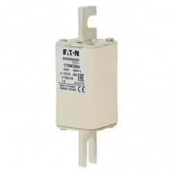 FUSE 100A 1000V 1*TN/110 AR...