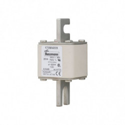FUSE 250A 690V 1/80 AR UC...