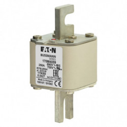 FUSE 250A 690V 1TN/80 AR UC...