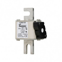 FUSE 250A 690V 1KN/80 AR UC...