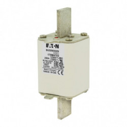 FUSE 250A 1250V 1SHT AR CU...