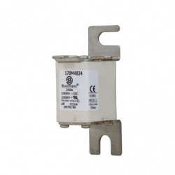 FUSE 250A 1000V 00TN/80 AR...