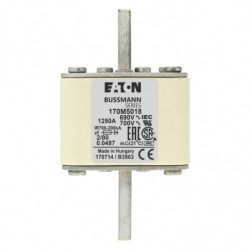 FUSE 500A 690V 2KN/80 AR...