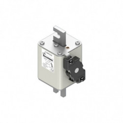 FUSE 1000A 1100V 2KN/110 AR...