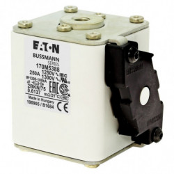 FUSE 250A 1250V 2BKN/75 AR...