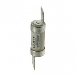 20AMP CANADIAN FUSE (20CIF06)