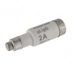 FUSE-D01 2A T GL/GG 400VAC...