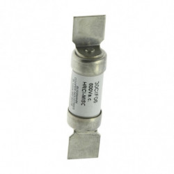 30A CANADIAN FUSE (30CIF06)