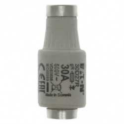 FUSE-D2 30A F GR 500VAC E27...