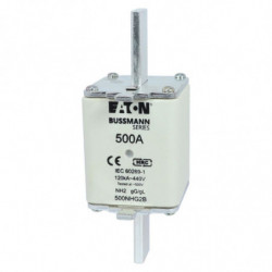 FUSE GG NH2C/P HICAP...