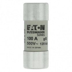 CYLINDRICAL FUSE 22 x 58...