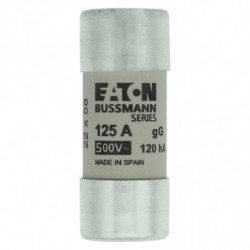 CYLINDRICAL FUSE 22 x 58...