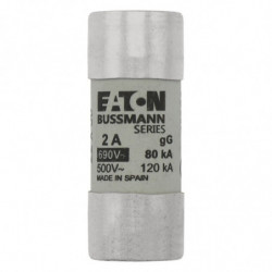 CYLINDRICAL FUSE 22 x 58 2A...