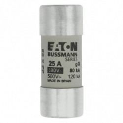 CYLINDRICAL FUSE 22 x 58...