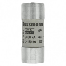 Cartouche fusible 22 x 58...
