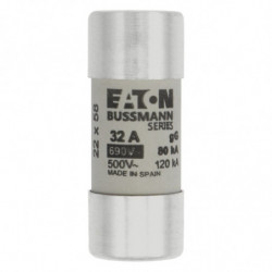 CYLINDRICAL FUSE 22 x 58...