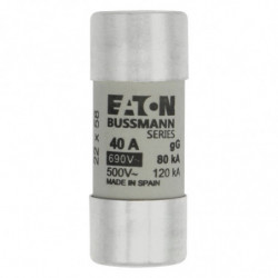CYLINDRICAL FUSE 22 x 58...
