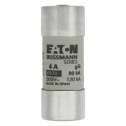 Cartouche fusible 22 x 58...