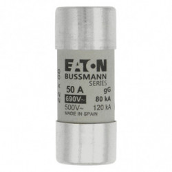 CYLINDRICAL FUSE 22 x 58...