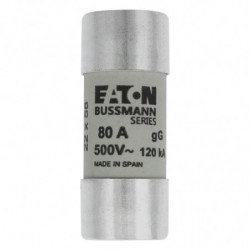 CYLINDRICAL FUSE 22 x 58...