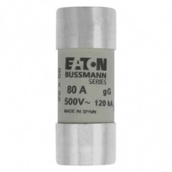 Cartouche fusible 22 x 58...
