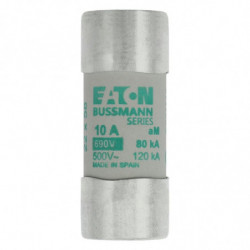CYLINDRICAL FUSE 22 x 58...