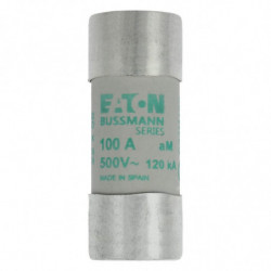 CYLINDRICAL FUSE 22 x 58...