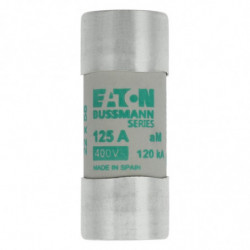 CYLINDRICAL FUSE 22 x 58...
