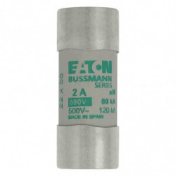 CYLINDRICAL FUSE 22 x 58 2A...
