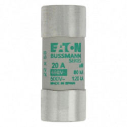 CYLINDRICAL FUSE 22 x 58...