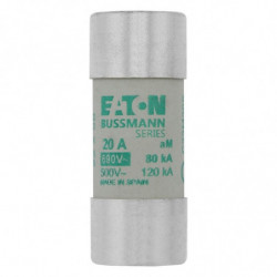Cartouche fusible 22 x 58...