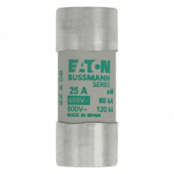 CYLINDRICAL FUSE 22 x 58...